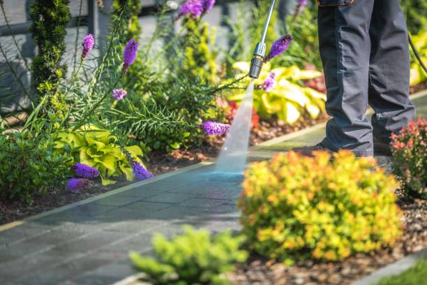 Best Pool Deck Cleaning in Contra Costa Centre, CA